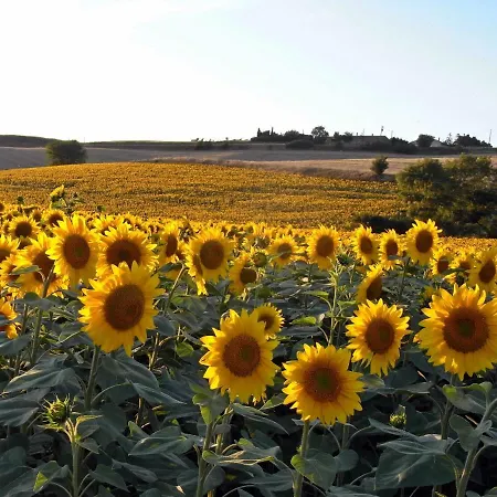 Gæstehus Ferme De Caractere - En Pascot - Jardin Arbore, Billard - Ou