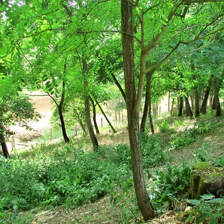 Guest house En Pascot: Charming With Two Additional 3*