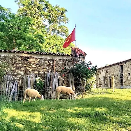 Ferme De Caractere - En Pascot - Jardin Arbore, Billard - Ou 3*