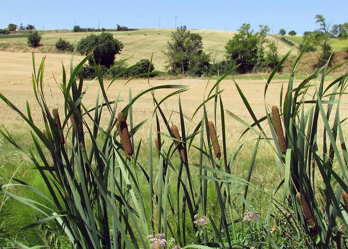 En Pascot - Avec Salle De Bain Privative Et 2 Avec Salle De Bain Commune - Billard, Jardin Et Barbecue - A 10 Min De Villefranche, Nailloux Et Du Canal Du Midi - A Louer Separement Ou Ensemble Gæstehus 3*