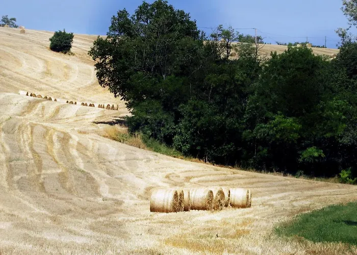 Affittacamere Et Cosy Dans Ferme De Caractère - Grand Jardin Au Calme Proche Canal Du Midi - Barbecue, Billard&cheminée Lagarde (Haute-Garonne)