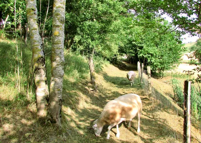 Gæstehus En Pascot - Avec Salle De Bain Privative Et 2 Avec Salle De Bain Commune - Billard, Jardin Et Barbecue - A 10 Min De Villefranche, Nailloux Et Du Canal Du Midi - A Louer Separement Ou Ensemble 3*
