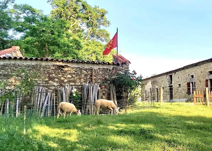 Et Cosy Dans Ferme De Caractère - Grand Jardin Au Calme Proche Canal Du Midi - Barbecue, Billard&cheminée 3*